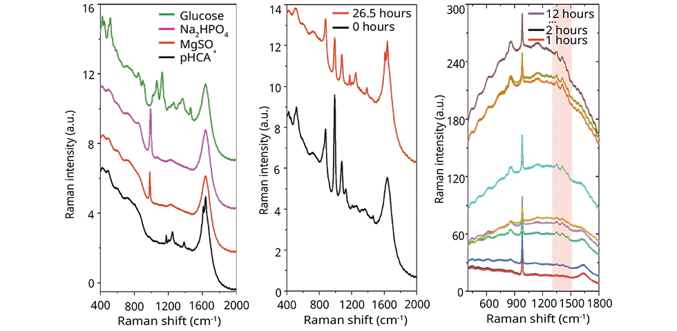 Notes 発酵における栄養素および代謝物定量