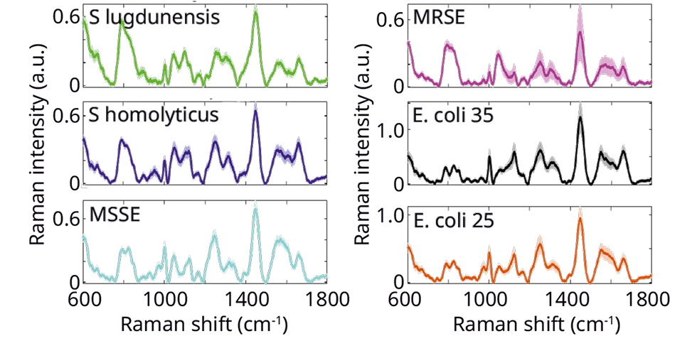 Notes 発酵における栄養素および代謝物定量